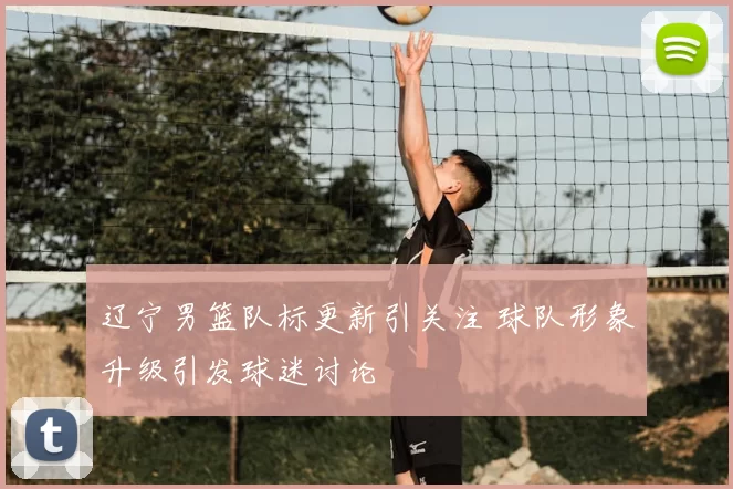 辽宁男篮队标更新引关注 球队形象升级引发球迷讨论