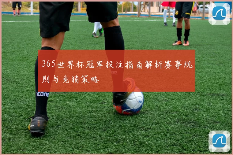 365世界杯冠军投注指南解析赛事规则与竞猜策略